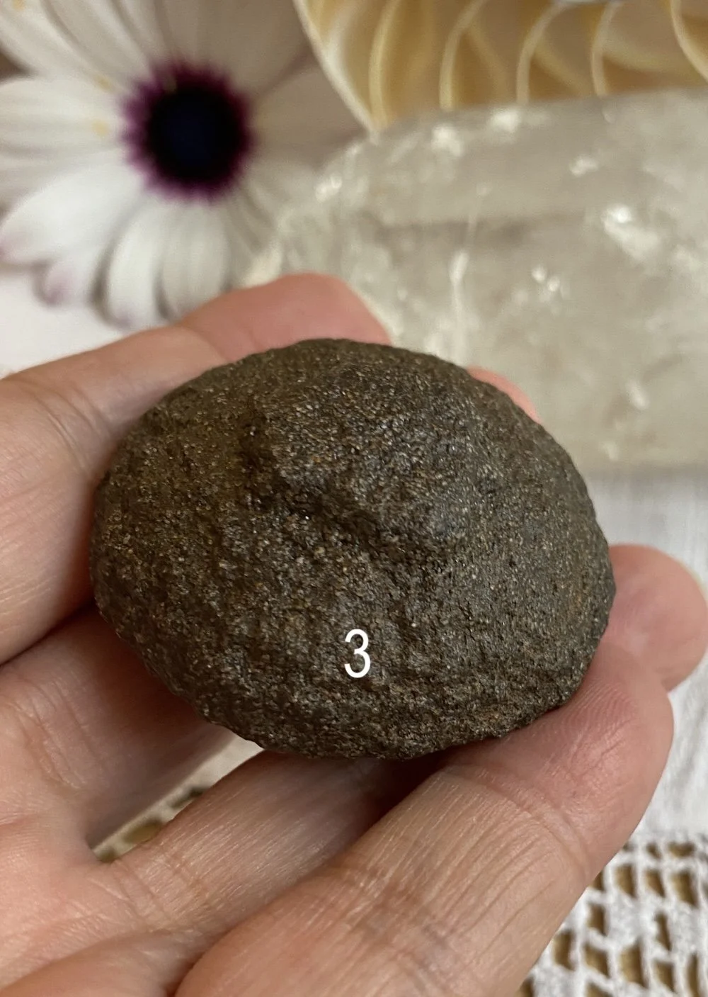 Mochi 35.JPG