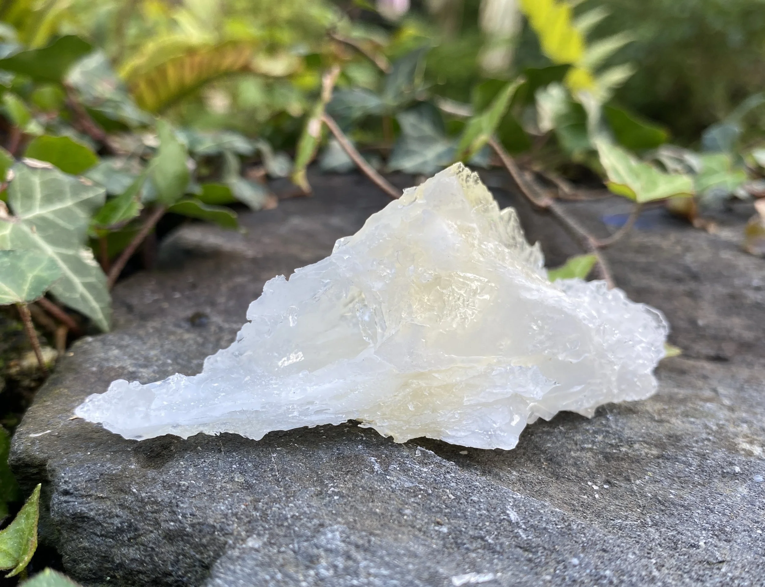 ZZ Angel Wing Calcite2.JPG