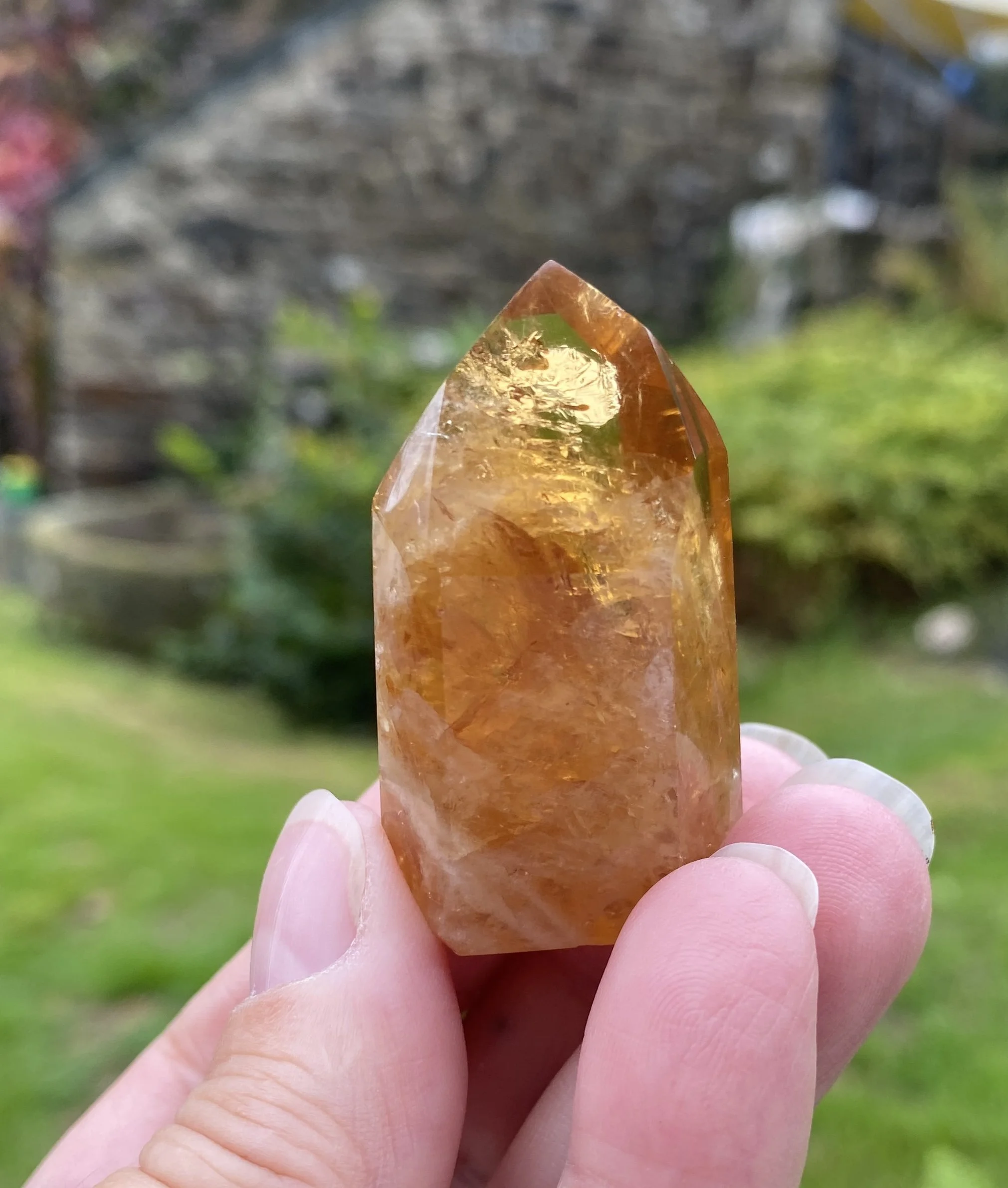 @2 Citrine standing 34g6.JPG