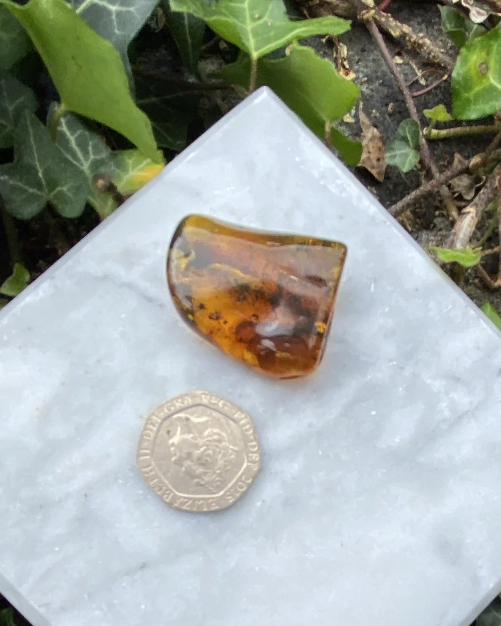 1 Amber 5.09G2.JPG