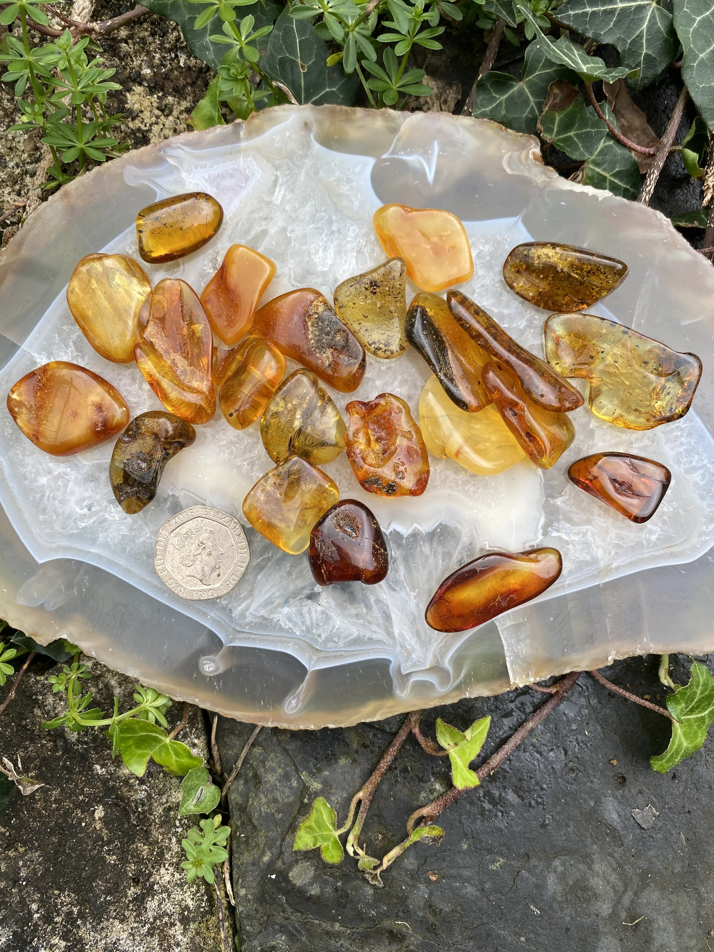 @ 1 Amber £42.JPG