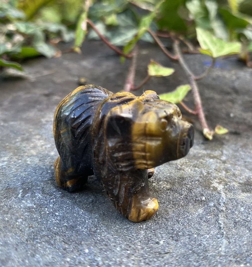 ZZ Tigers Eye Bear2.JPG