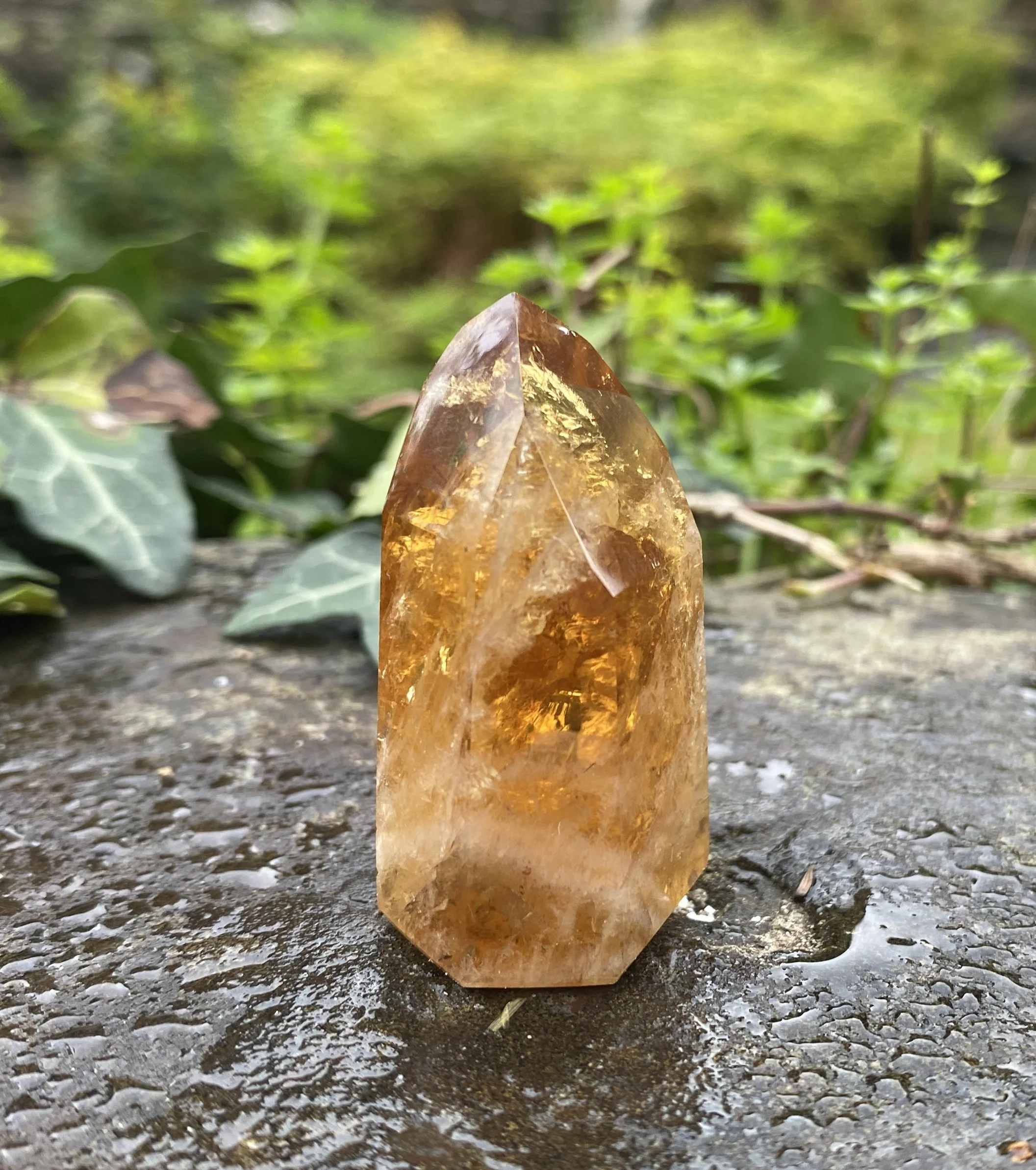 @2 Citrine standing 34g3.JPG