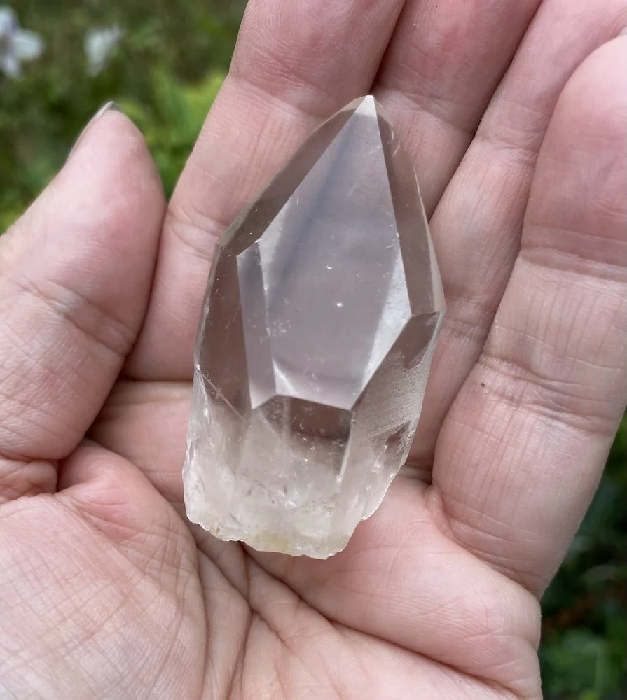 Lemurian £156.JPG
