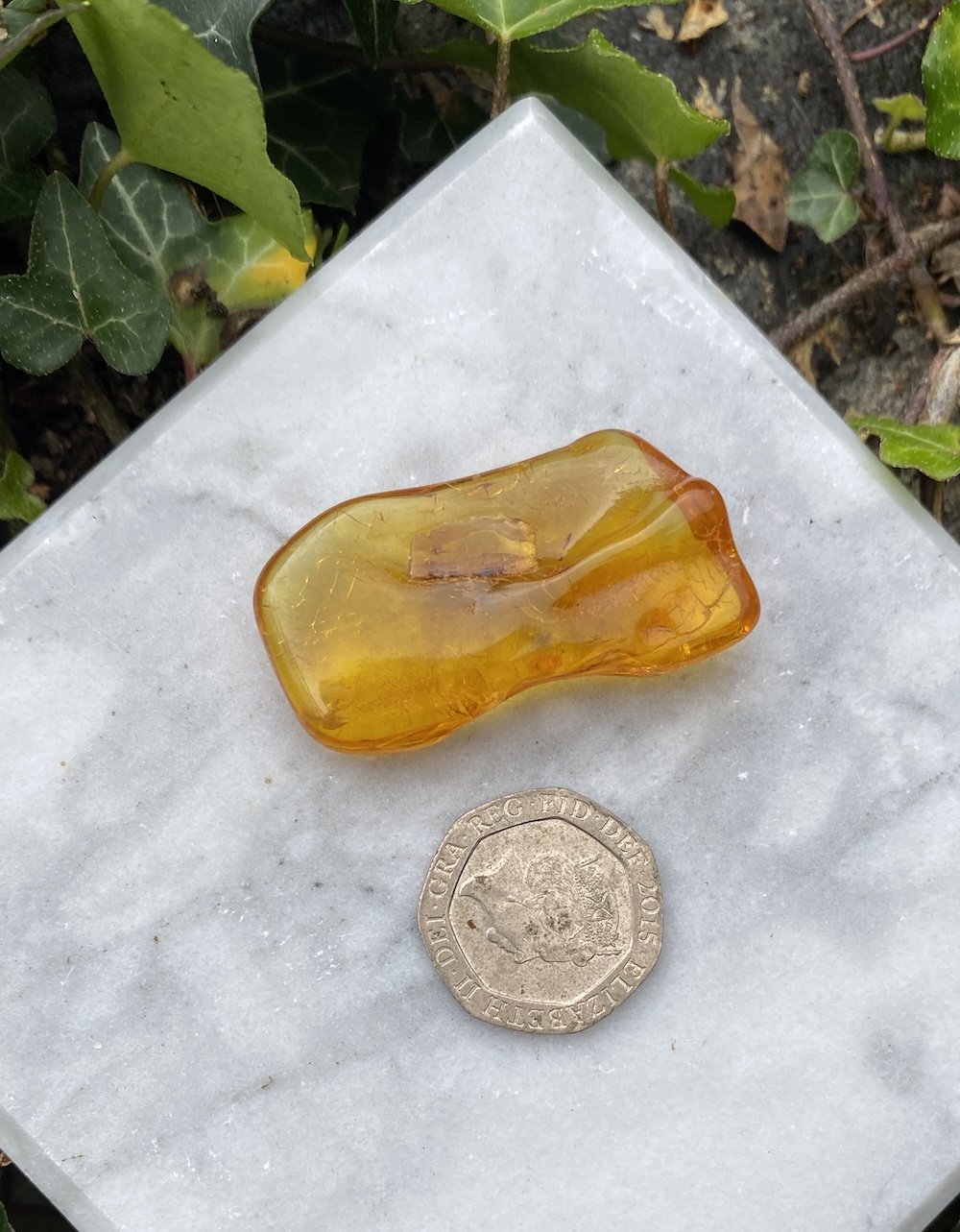 Amber 5.06G8.JPG