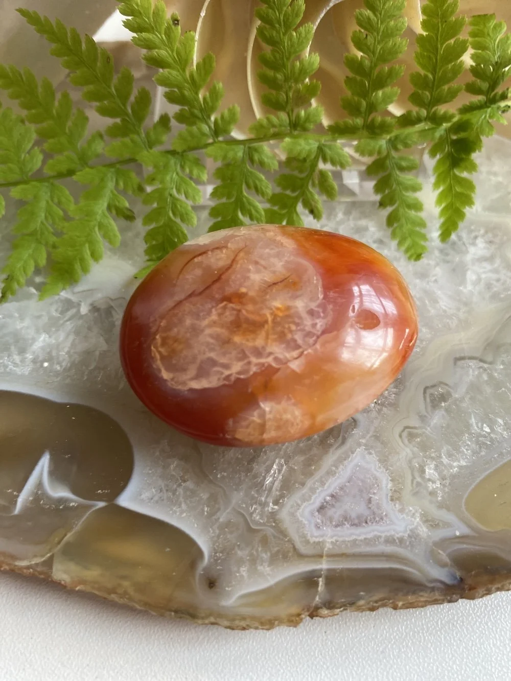 CARNELIAN14.JPG