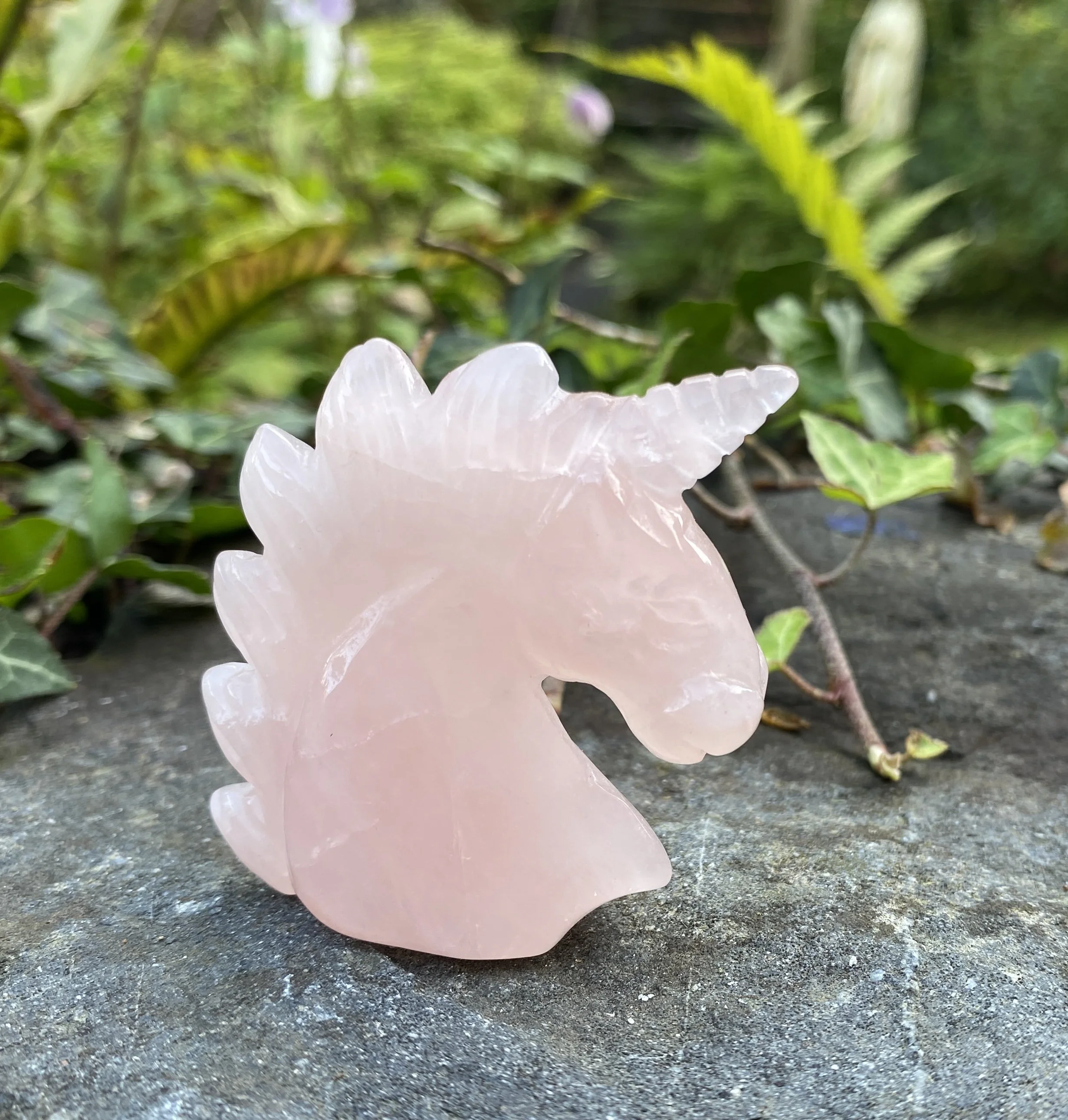 ZZ Unicorn Rose Quartz2.JPG