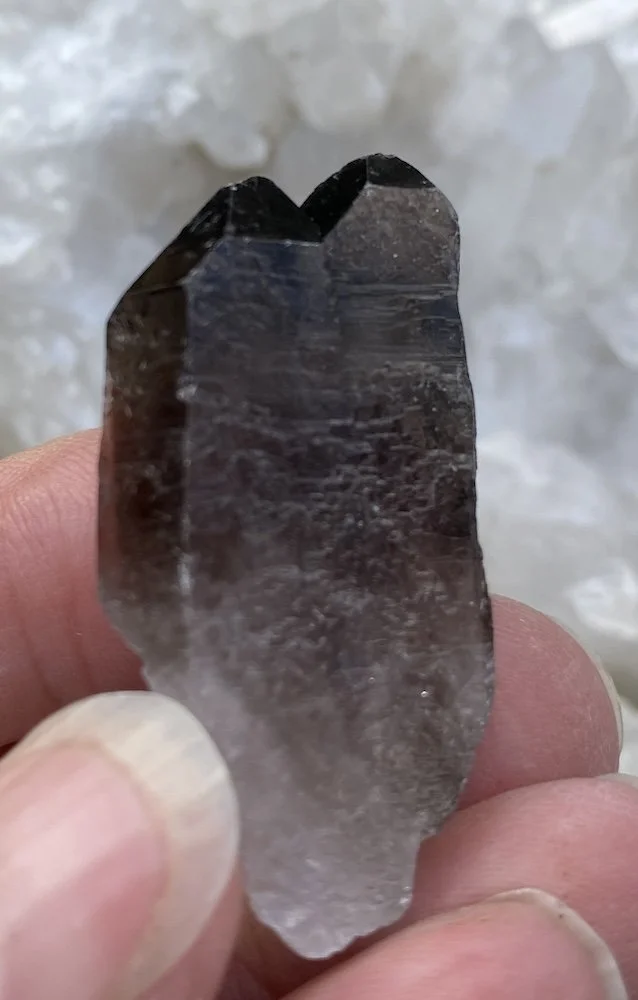 Old Smoky sixteen4.JPG