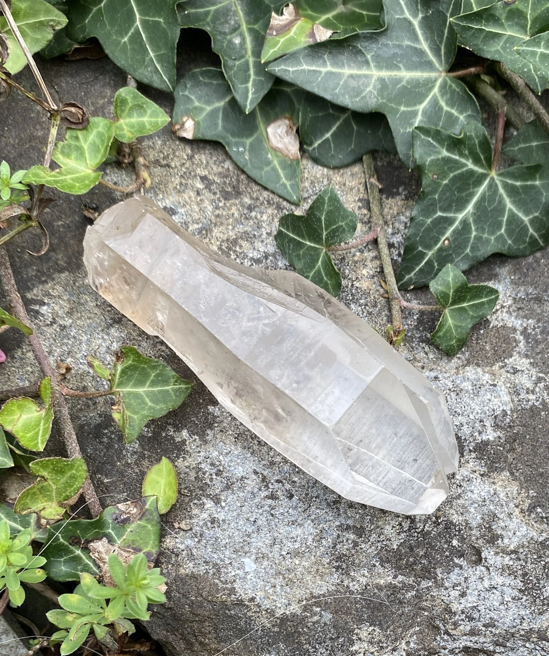 Lemurian S4 £292.JPG