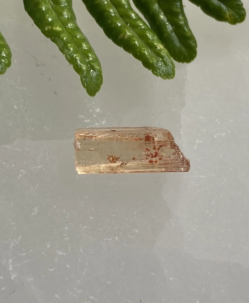 Topaz 81.JPG