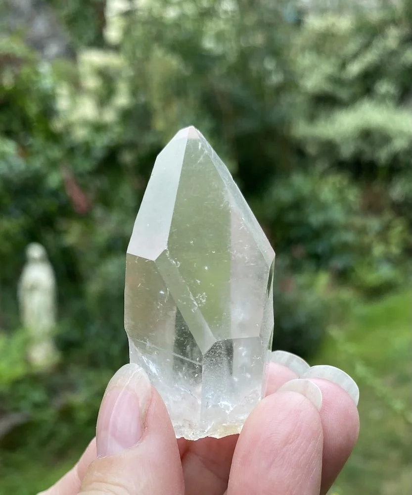 Lemurian £1513.JPG