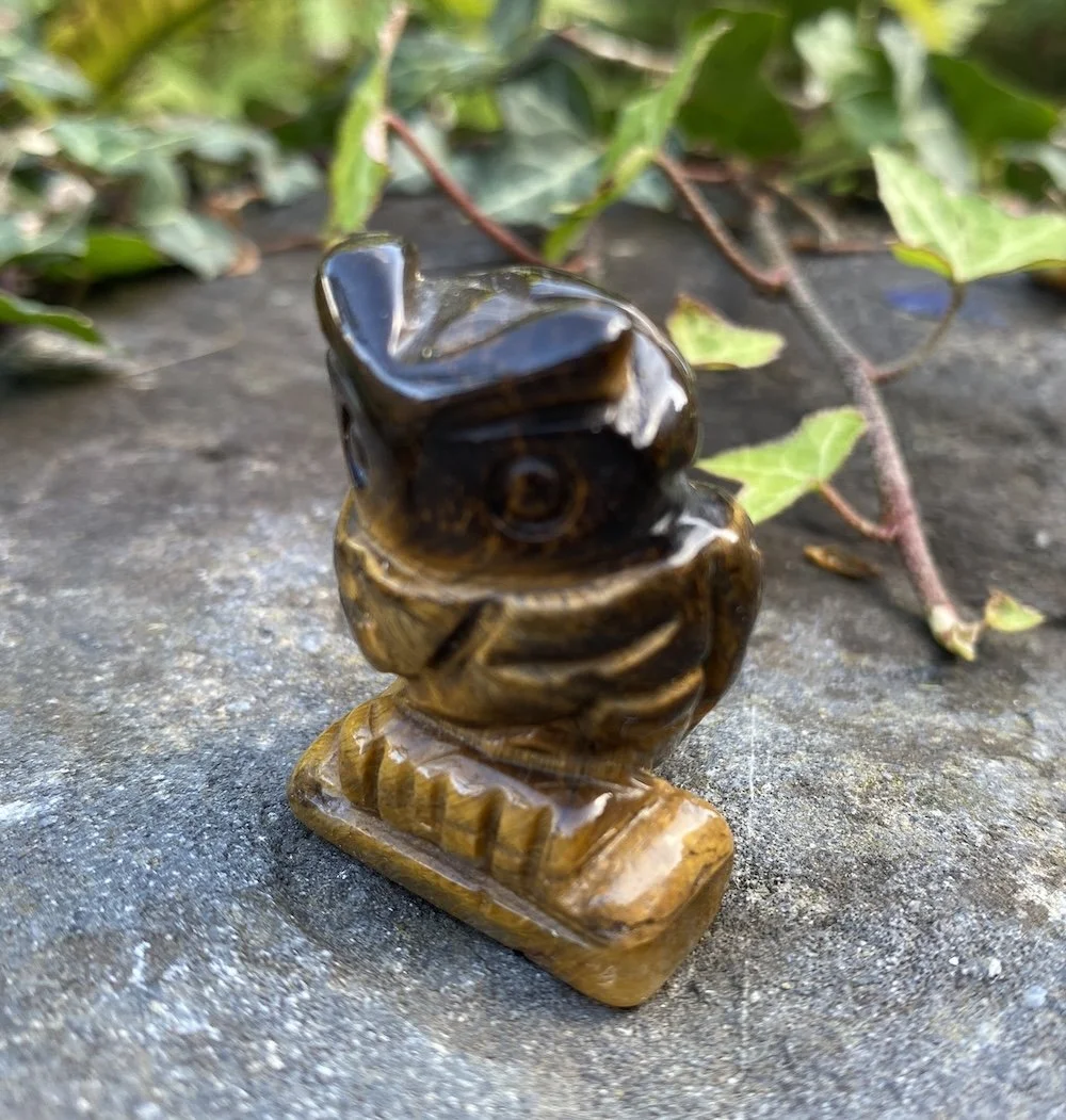 ZZ Tigers Eye Owl3.JPG