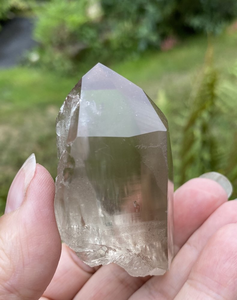 Lemurian D3 £286.JPG