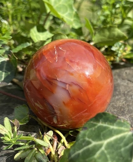 Carnelian 8 £272.JPG