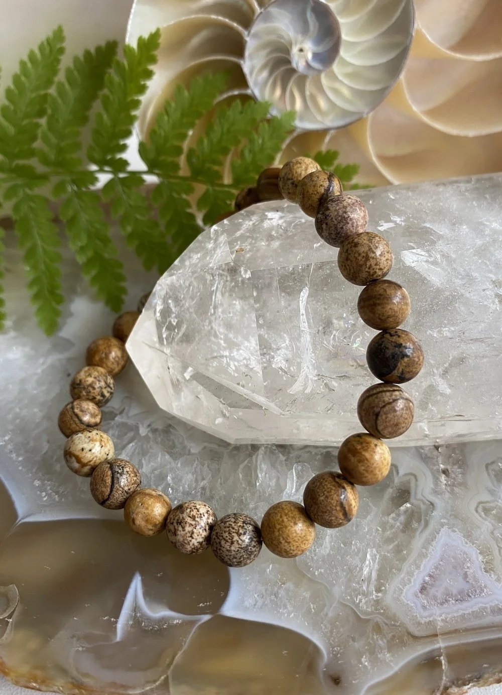 Bracelets Picture Jasper1.JPG