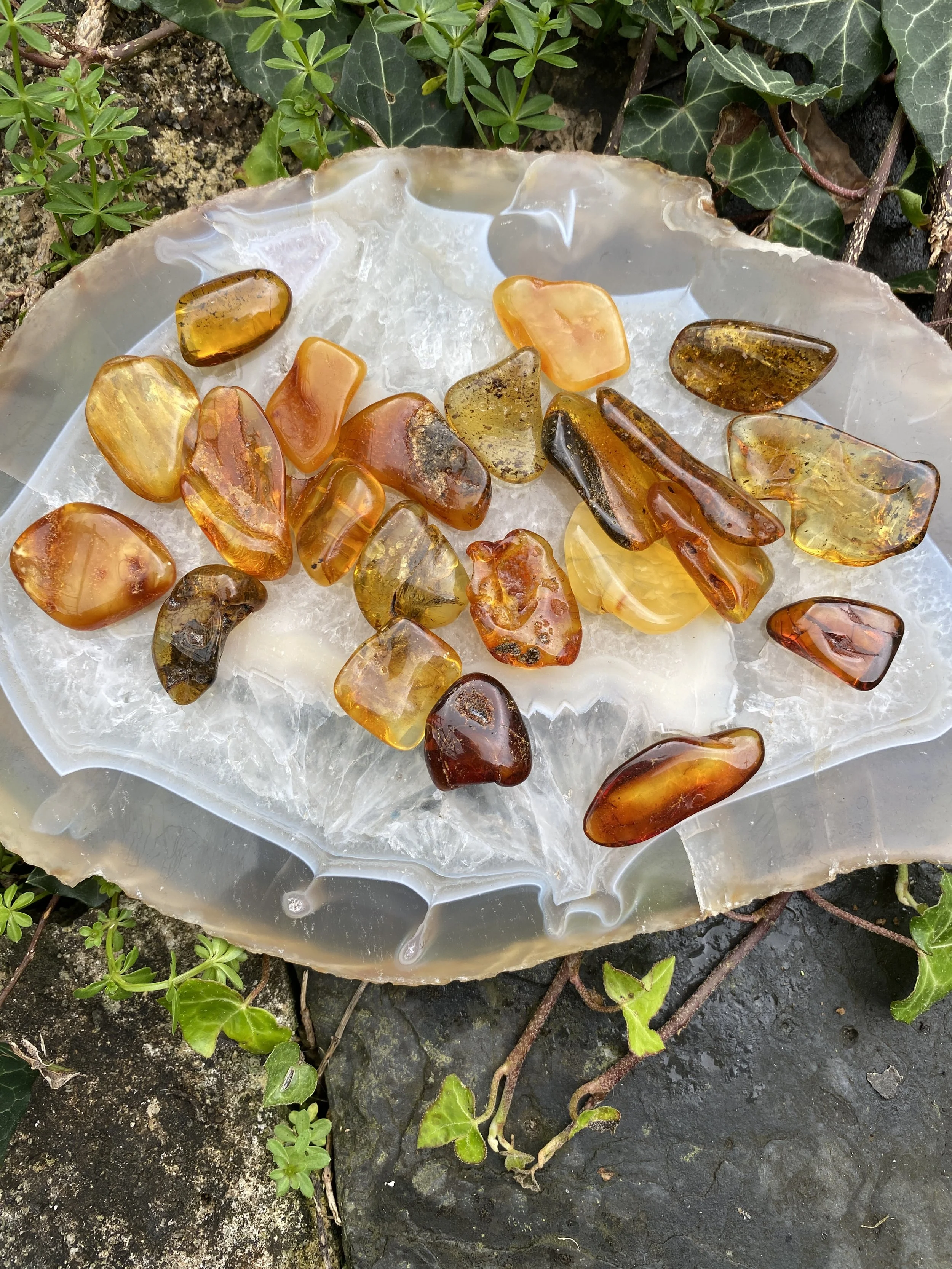 @ 1 Amber £41.JPG