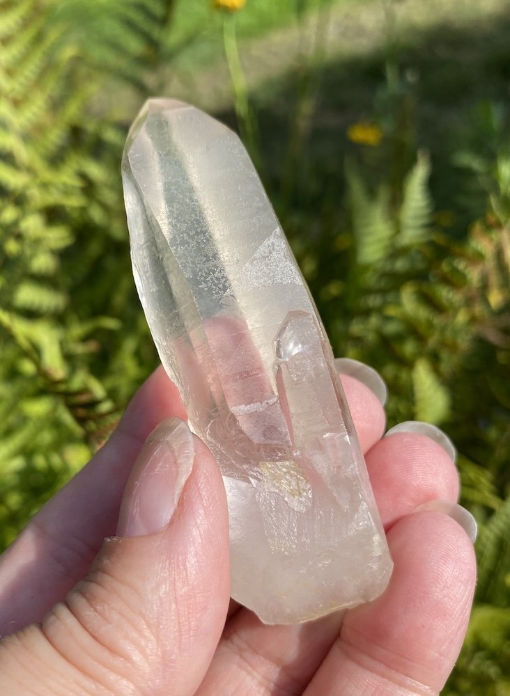 Lemurian5.JPG