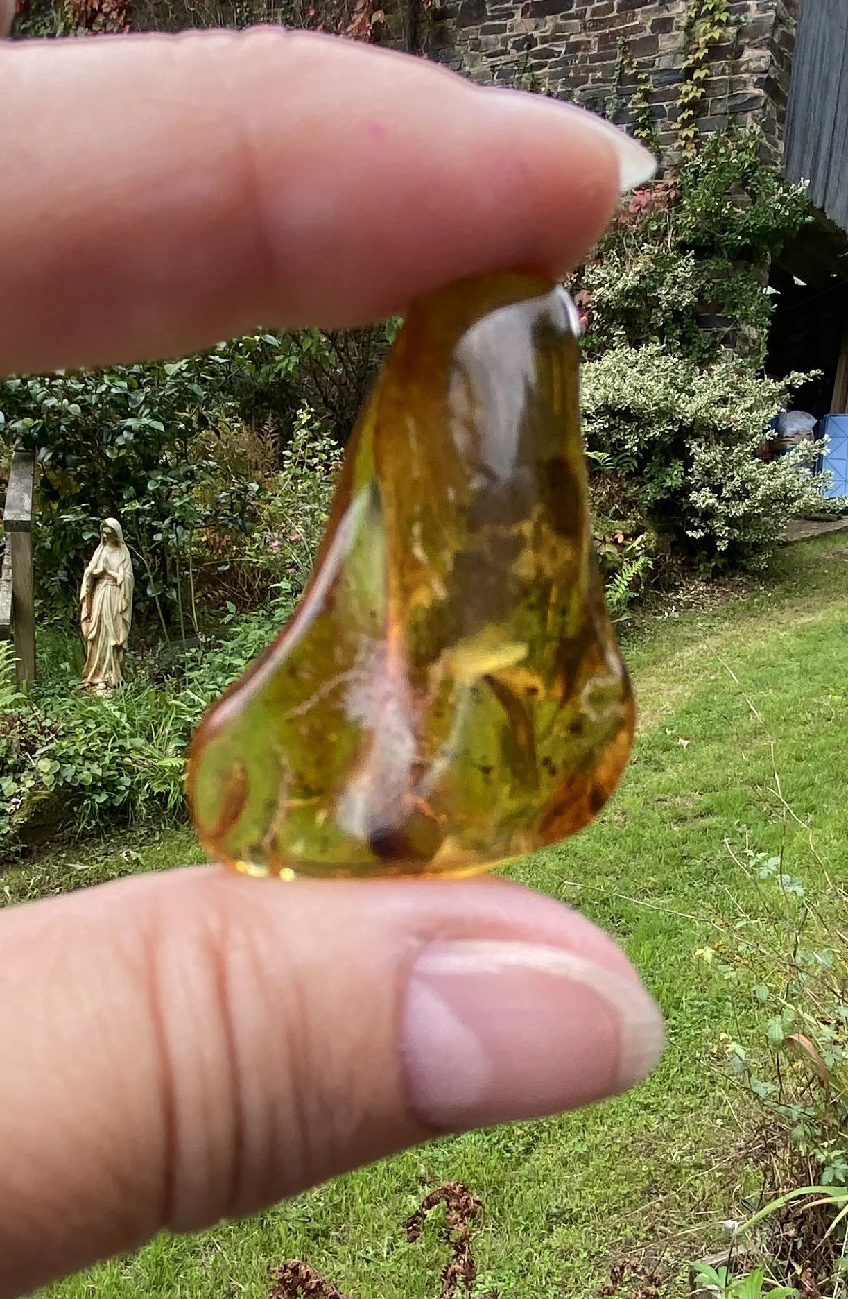 Amber 5.52g5.JPG