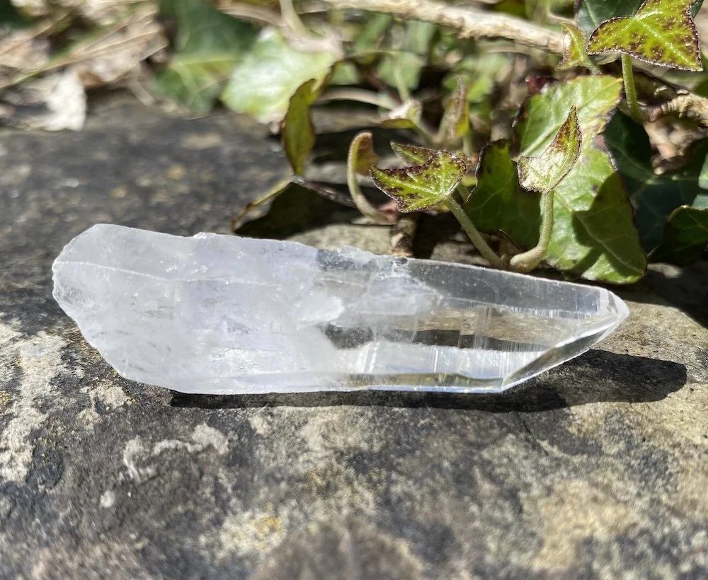 Lemurian 11.JPG