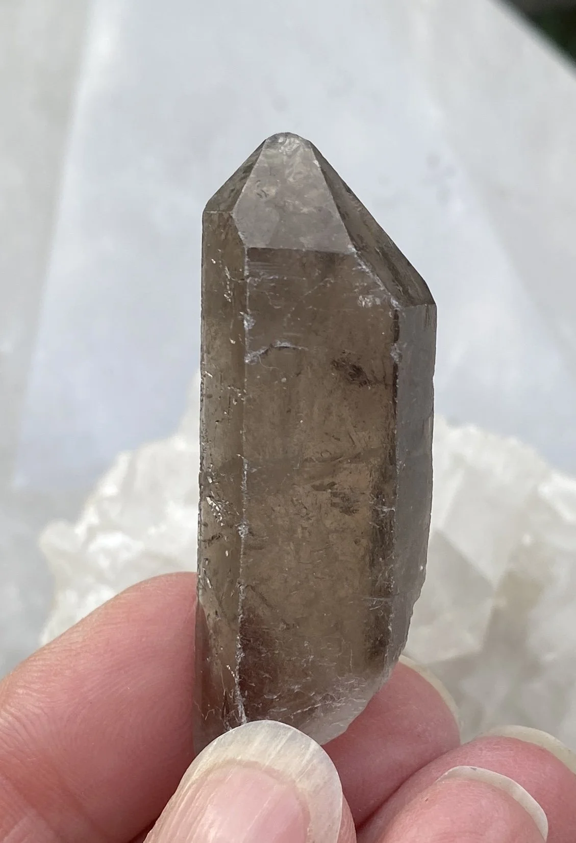 Old Smoky Seventeen2.JPG