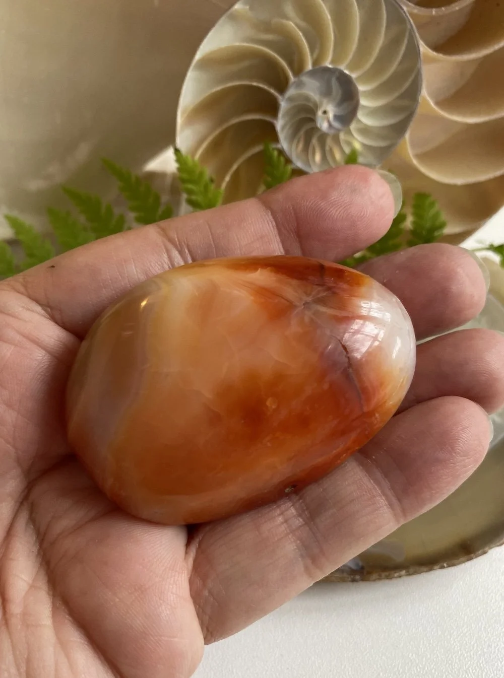 CARNELIAN4.JPG