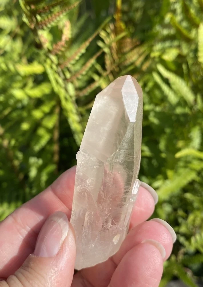 Lemurian3.JPG