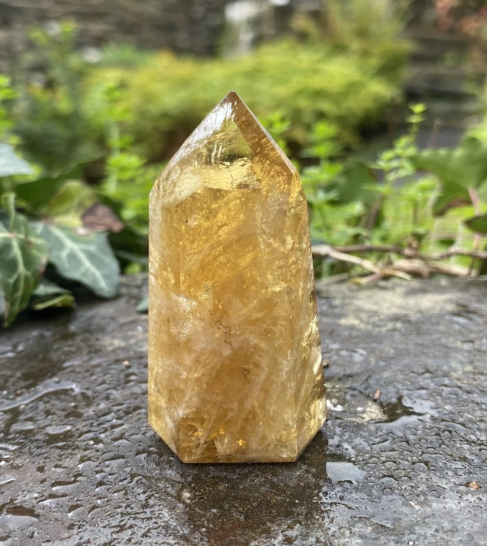 @2 Citrine standing 58g1.JPG