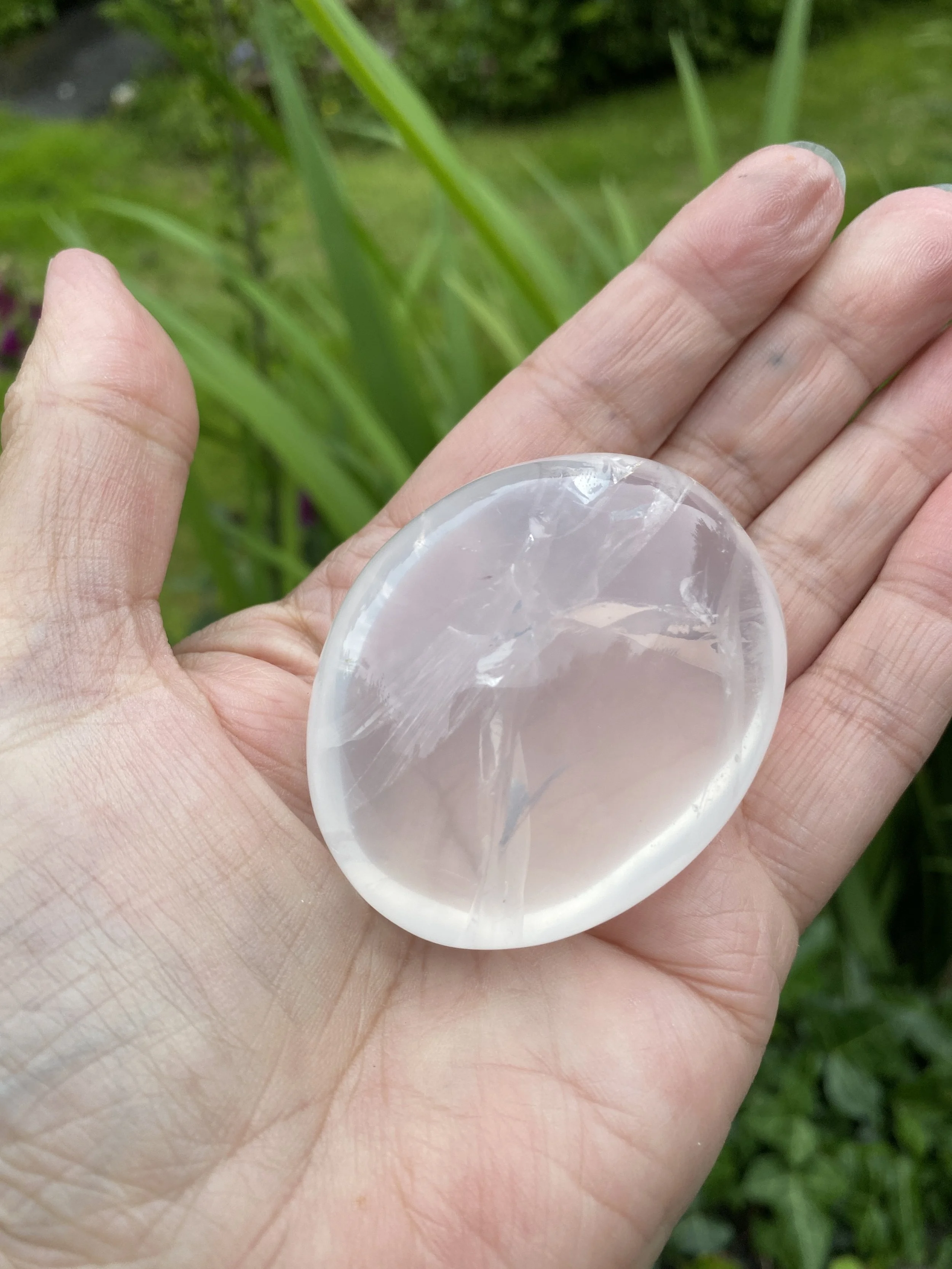 Girasol pebbles13.JPG