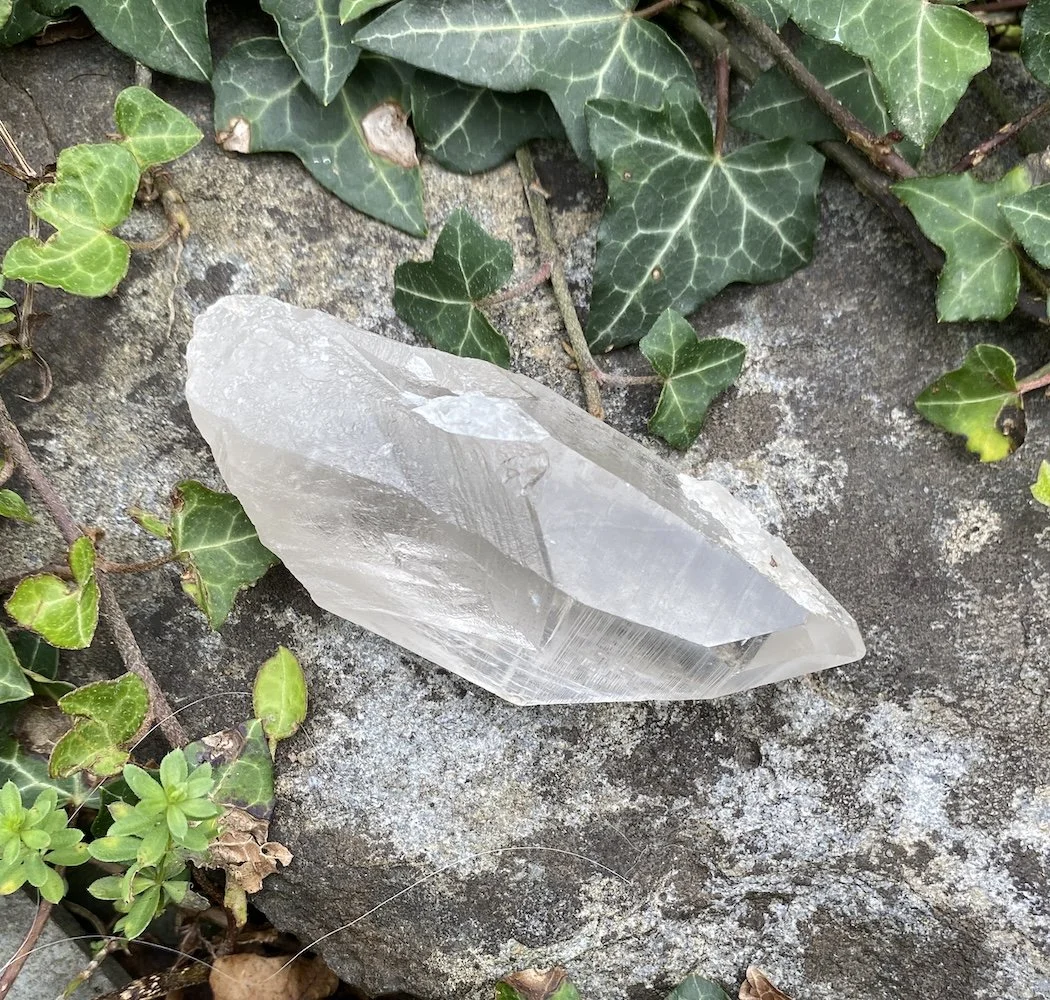 Lemurian S1 £322.JPG