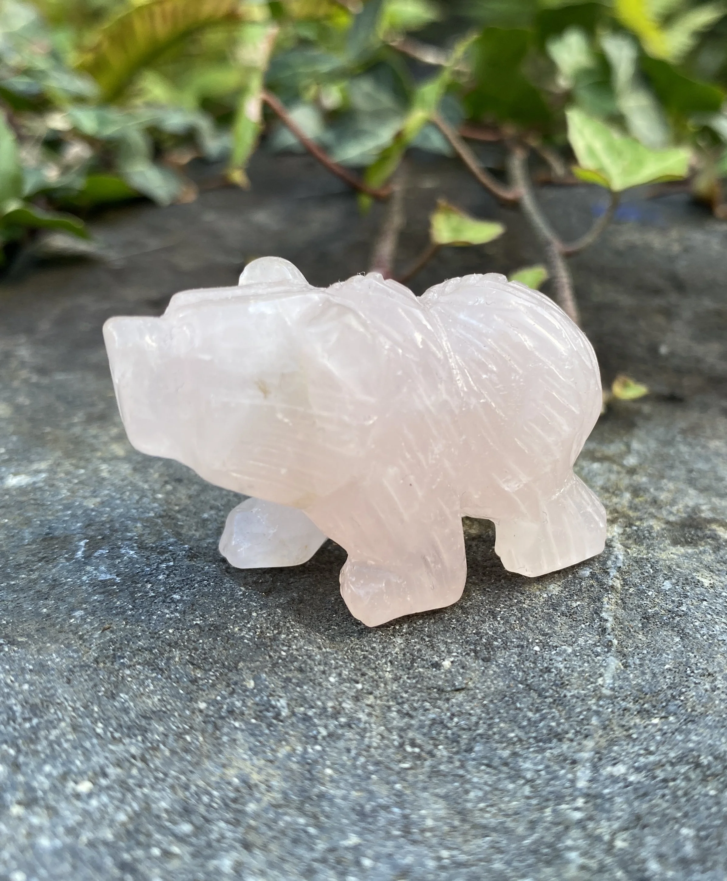 ZZ Rose Quartz Bear1.JPG