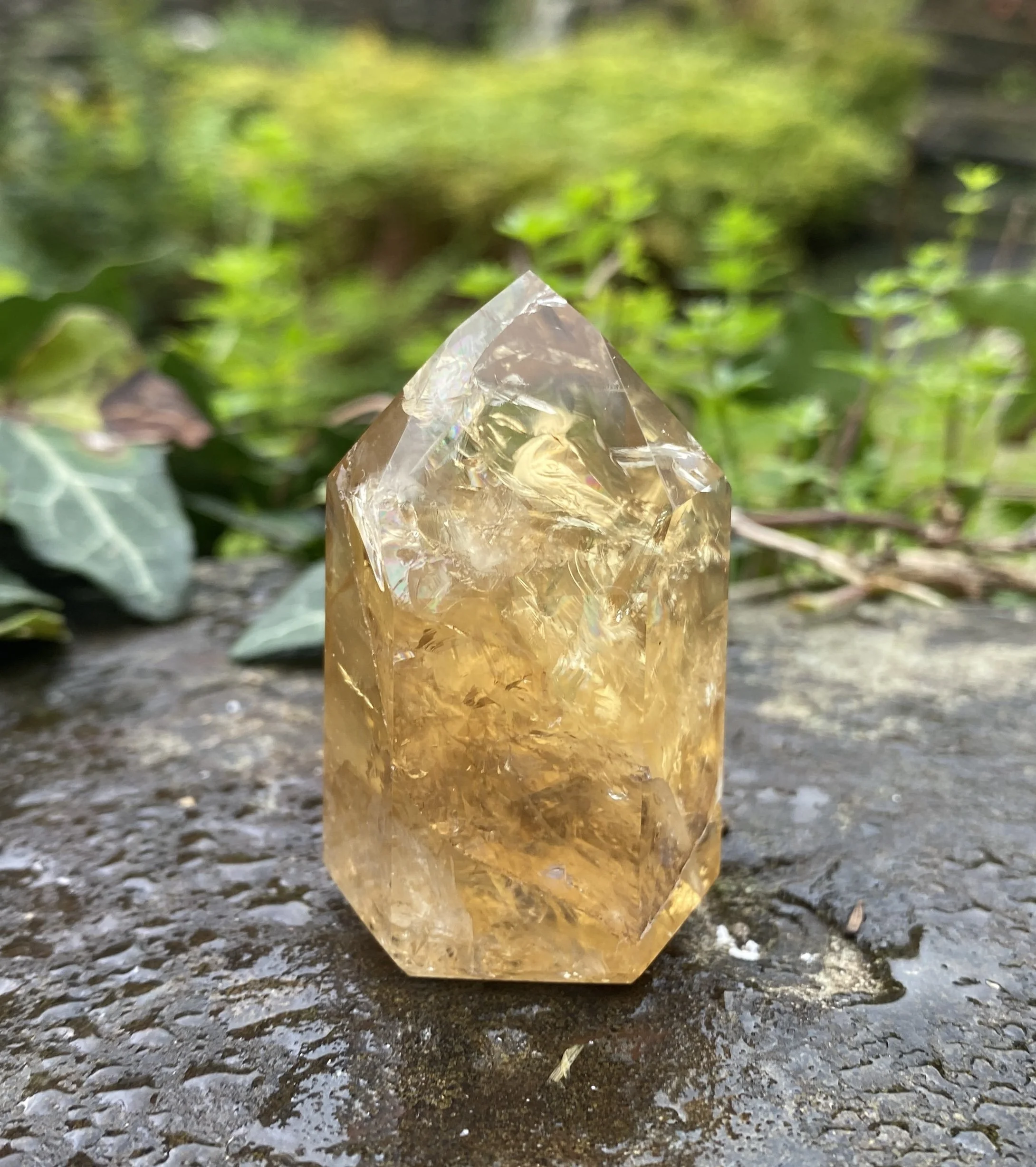 @2 Citrine standing 49g1.JPG