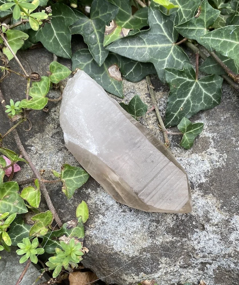 Lemurian D1 £322.JPG