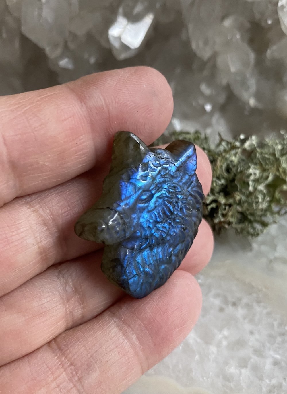 Labradorite Wolf3.JPG