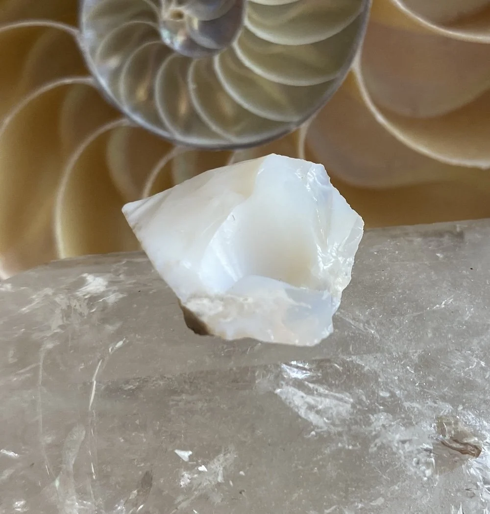 Opal white1.JPG