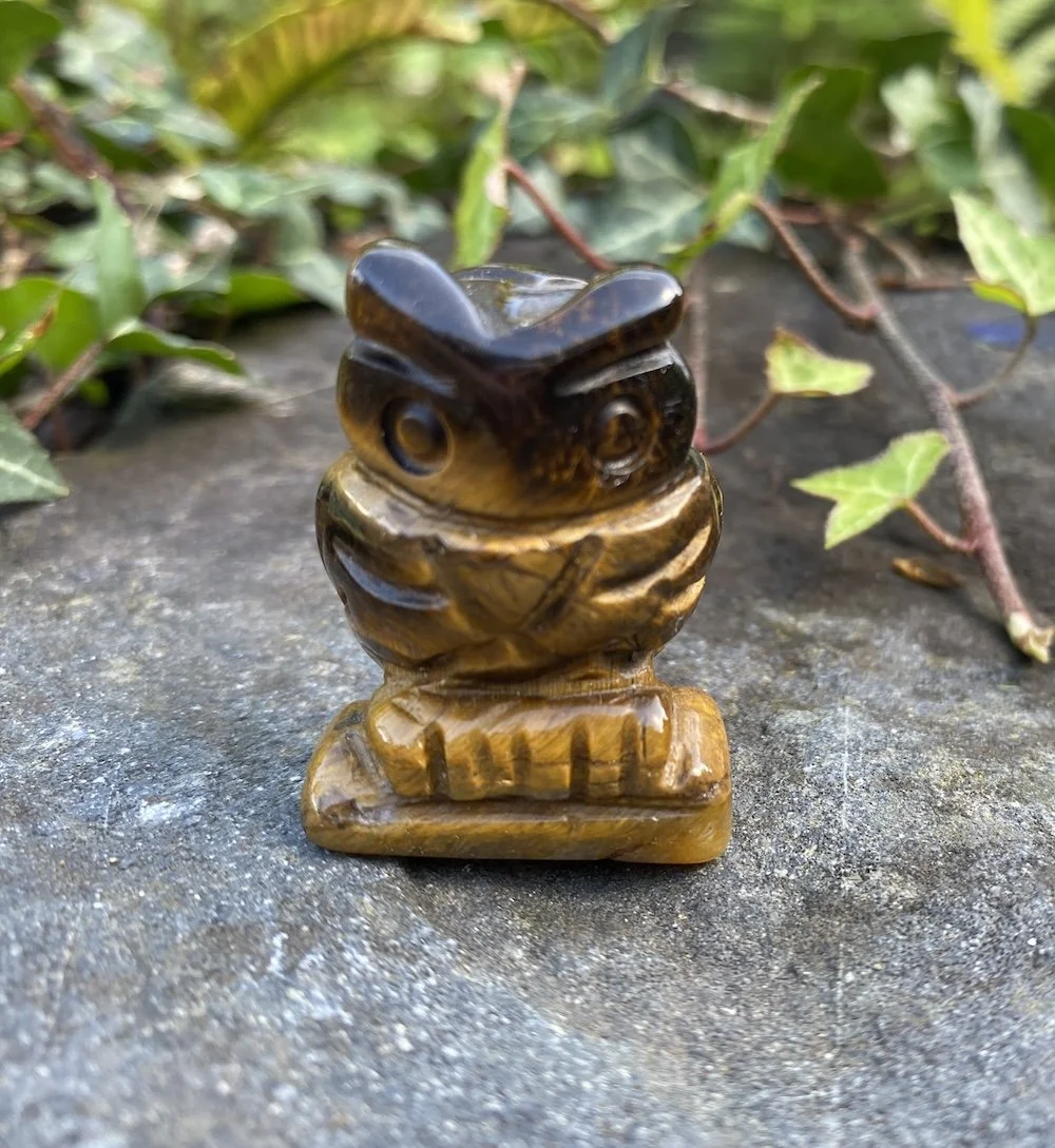 ZZ Tigers Eye Owl1.JPG