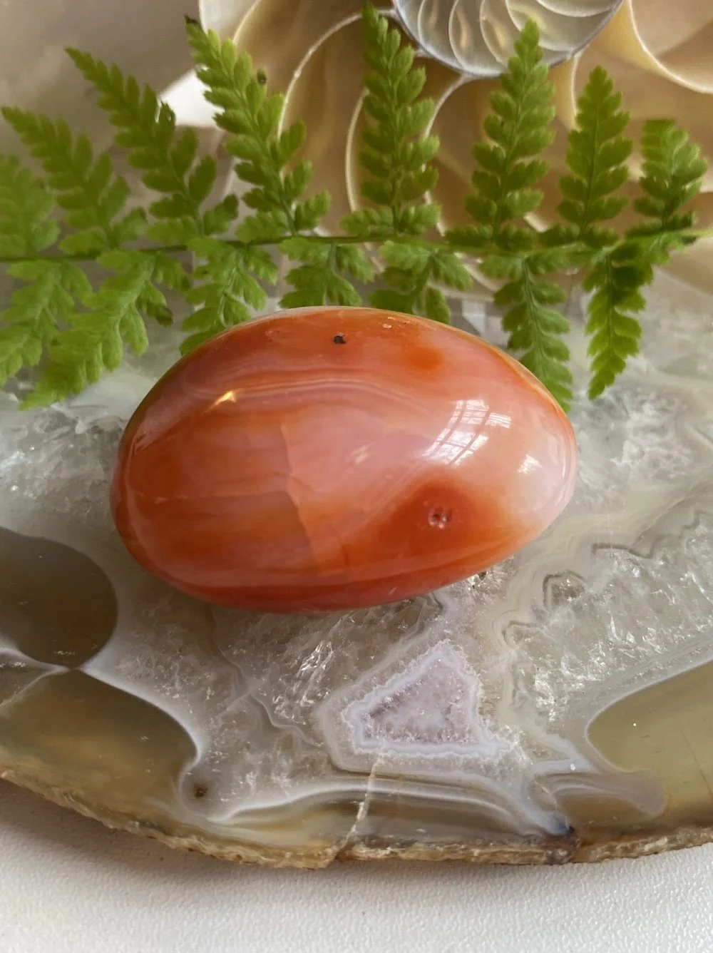 CARNELIAN10.JPG