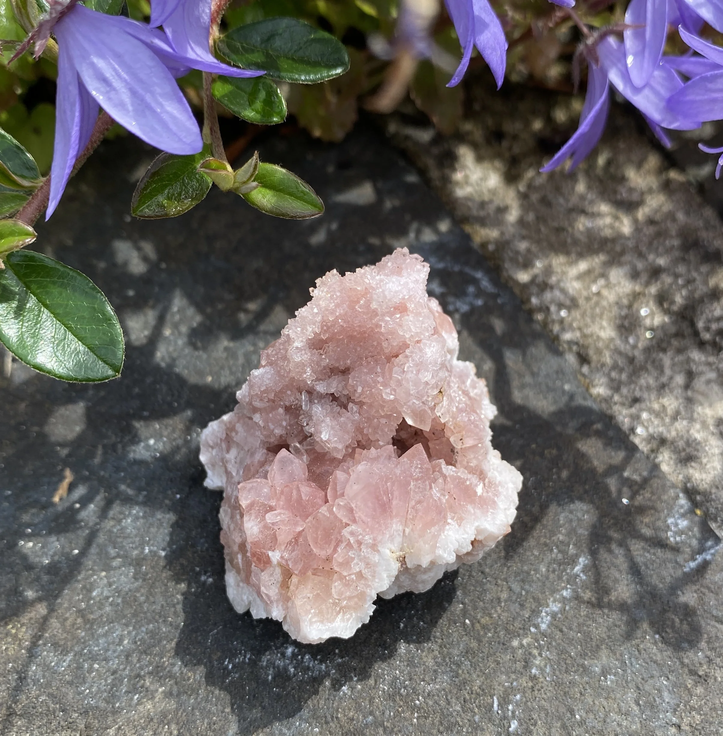 Pink Amethyst Cluster 4s