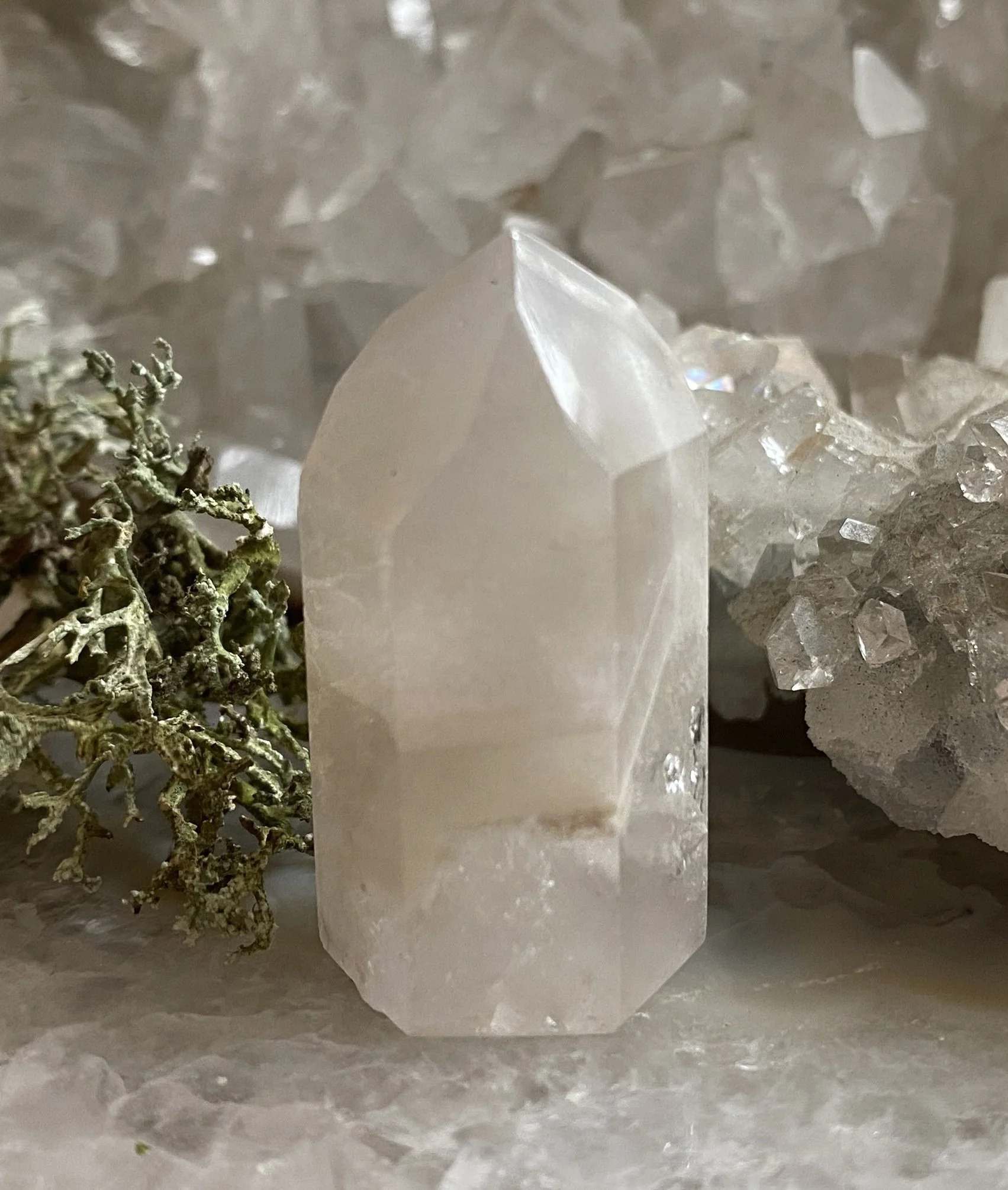 UPLOAD SULPHUR PHANTOM 82.JPG