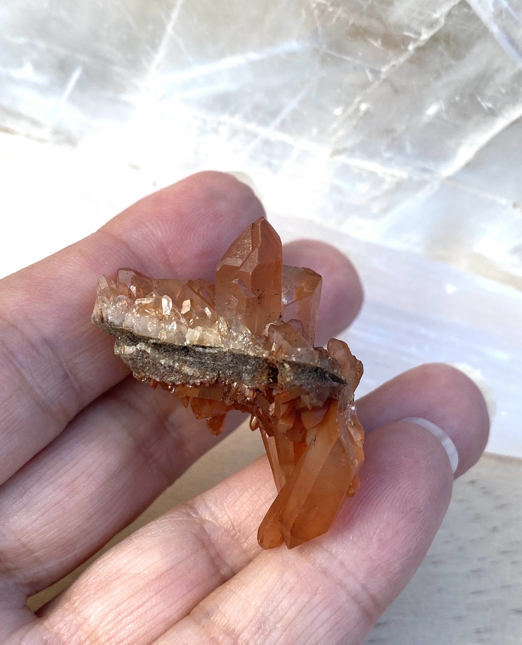 IMG_5080.JPG