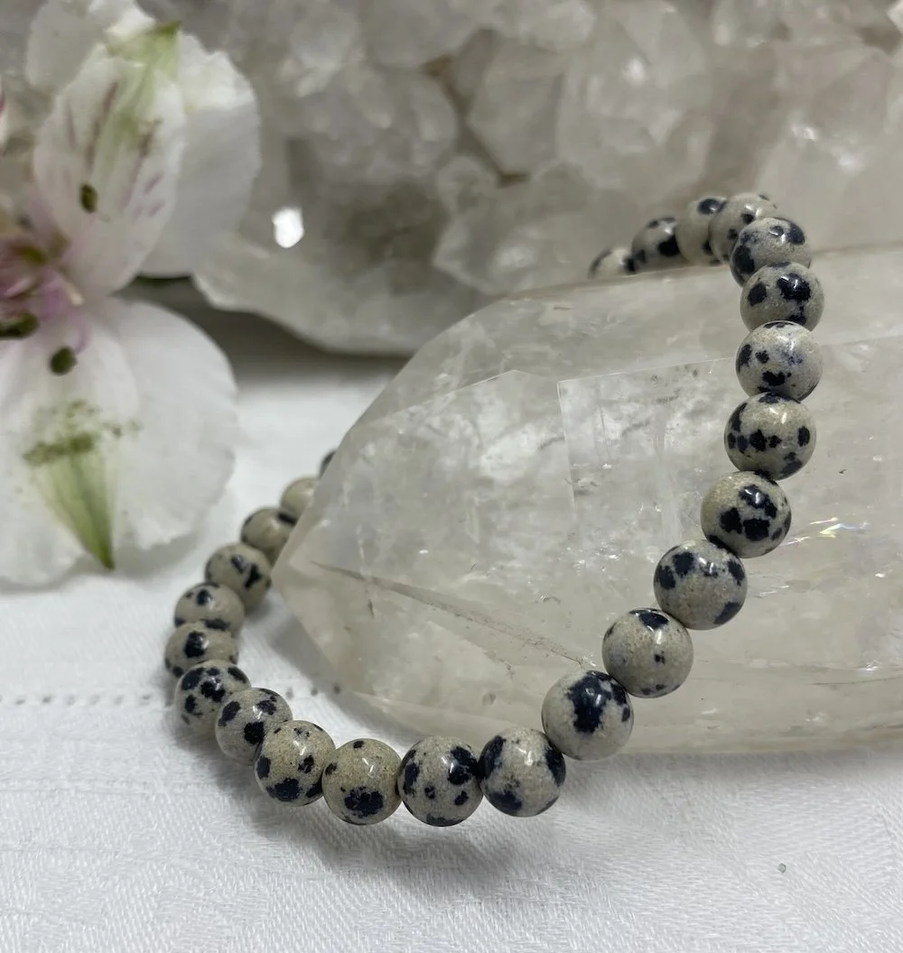 Braceket Dalmation 6mm2.JPG