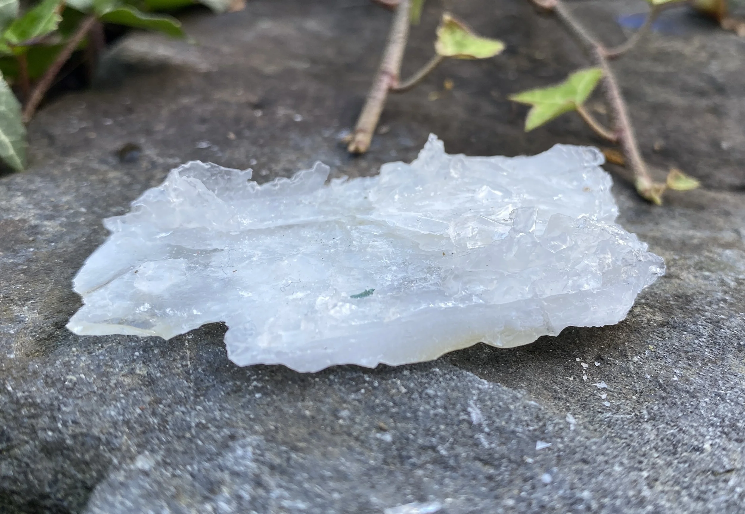 ZZ Angel Wing Calcite6.JPG