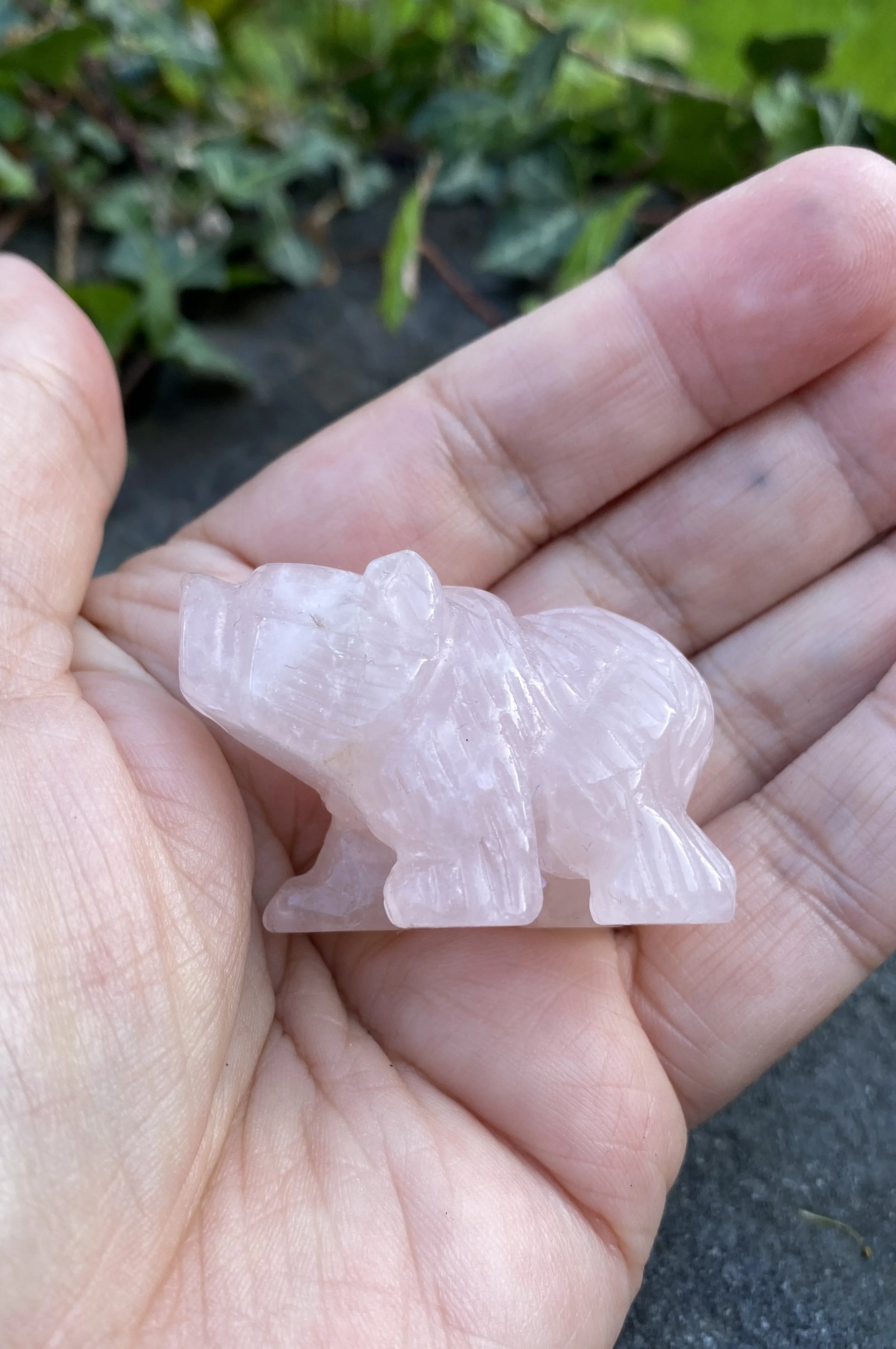 ZZ Rose Quartz Bear3.JPG