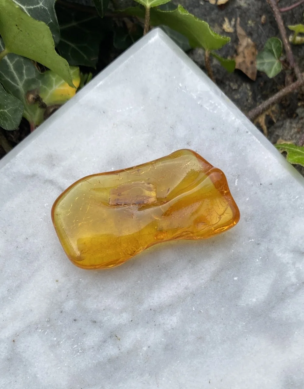 Amber 5.06G7.JPG