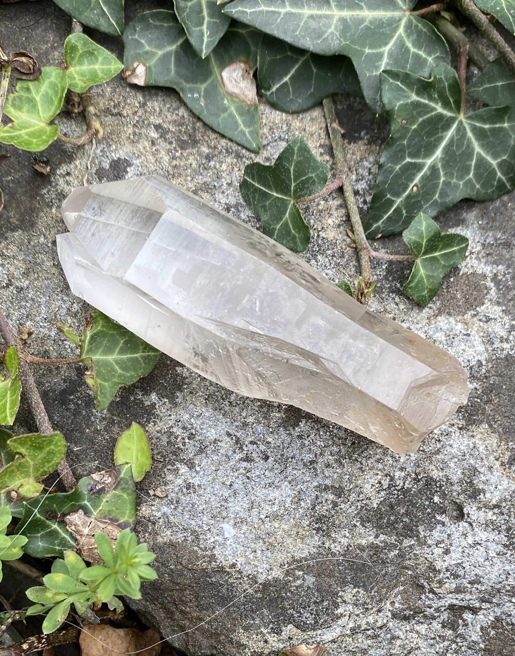 Lemurian S4 £291.JPG