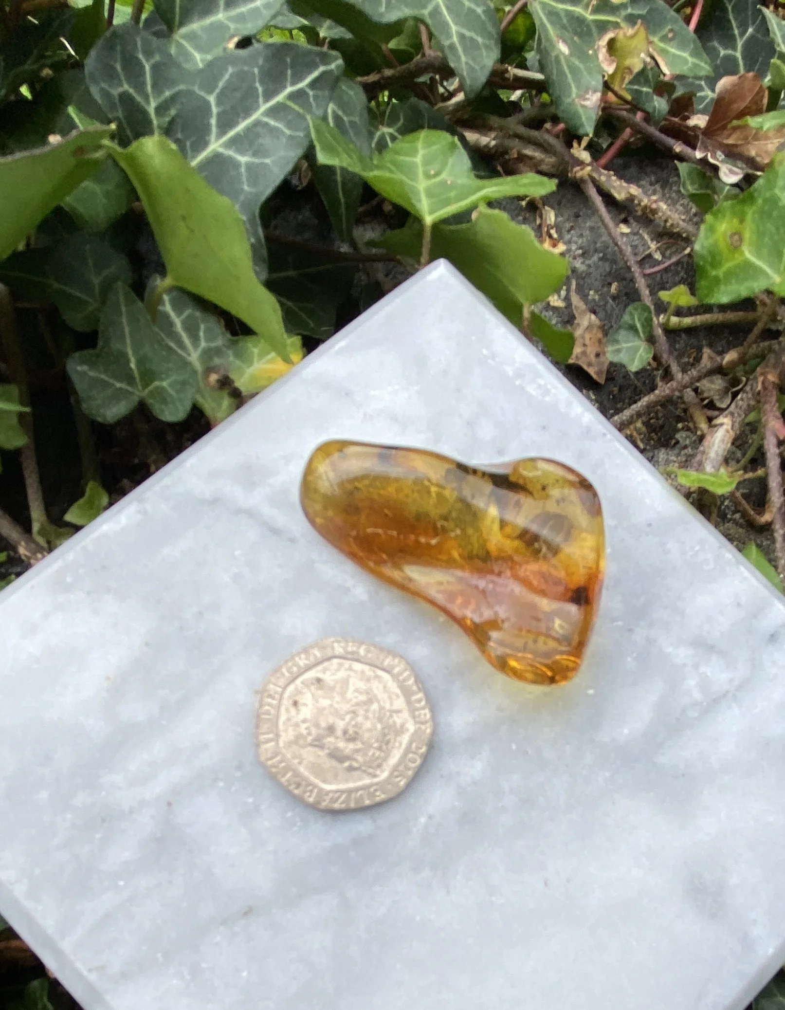 Amber 5.52g3.JPG