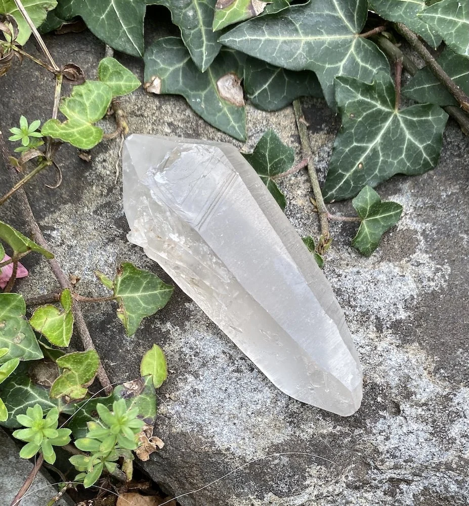 Lemurian S2 £323.JPG