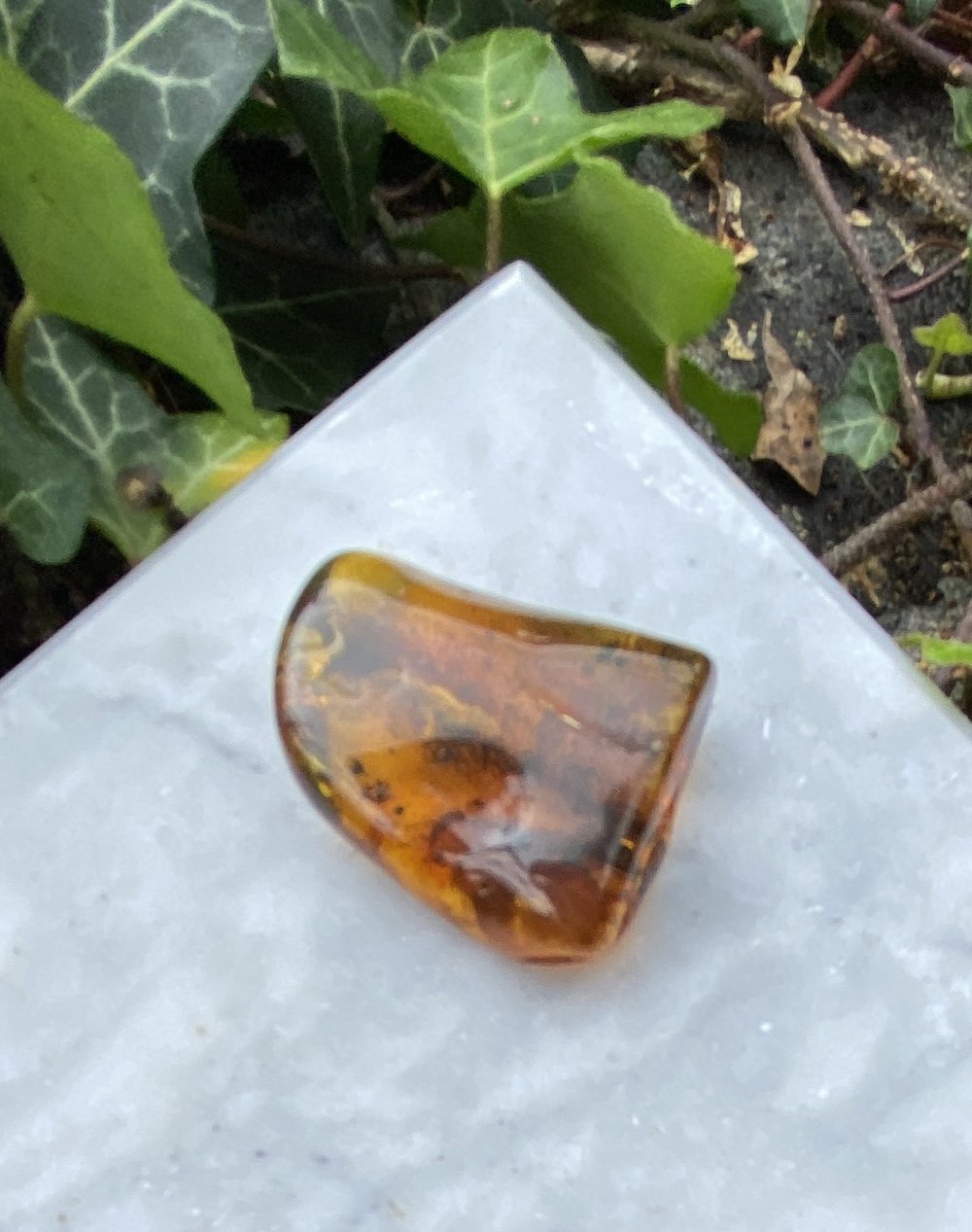 1 Amber 5.09G1.JPG