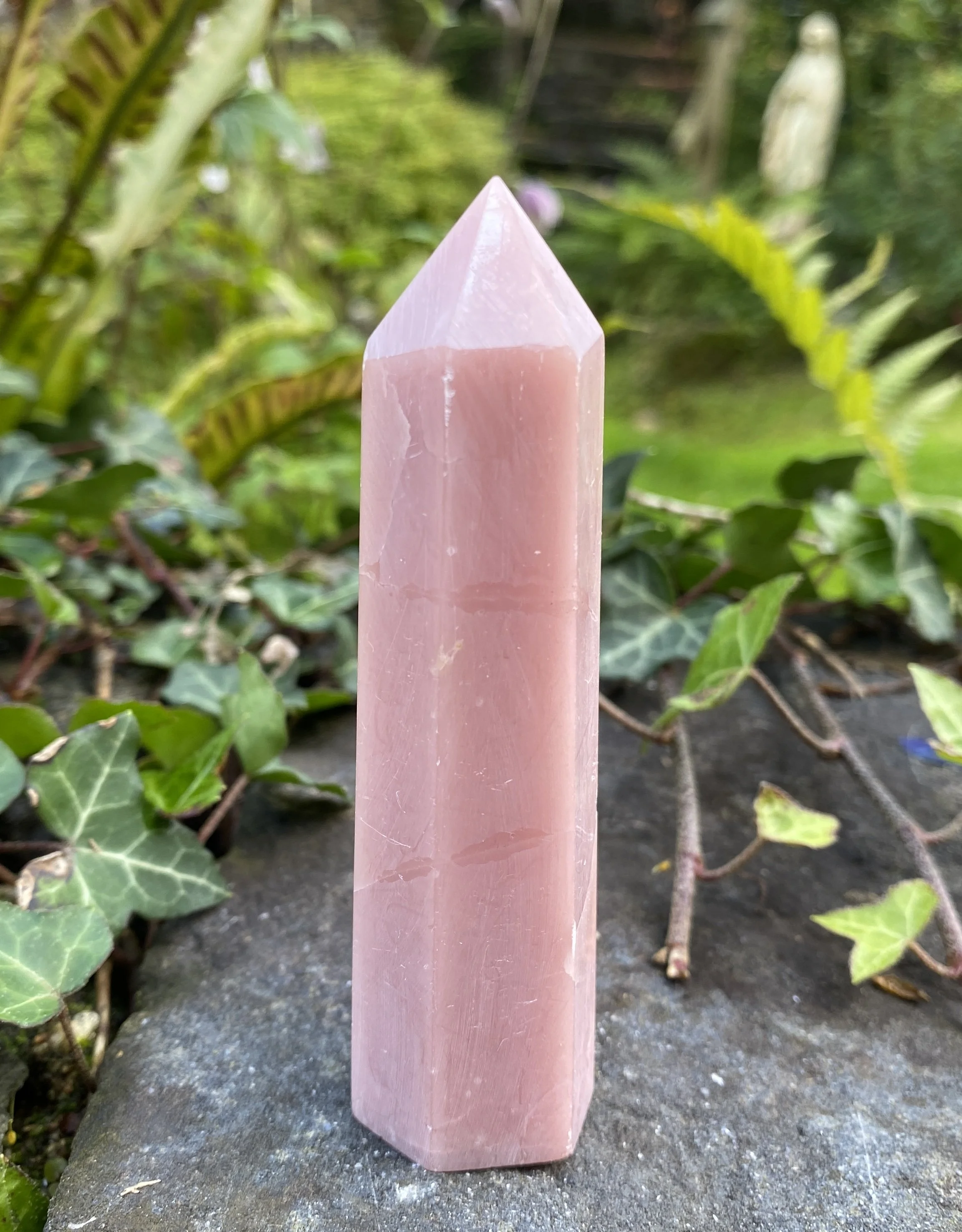 ZZ Rose Opal tower4.JPG