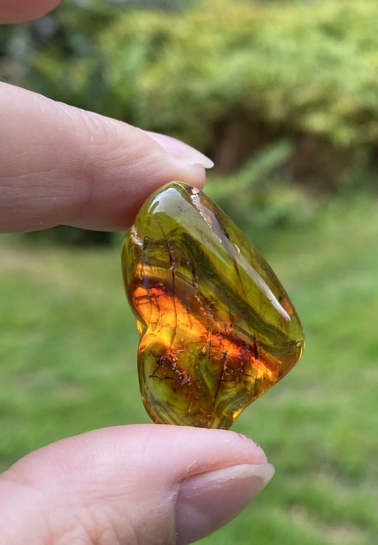 1 Amber 6G5.JPG