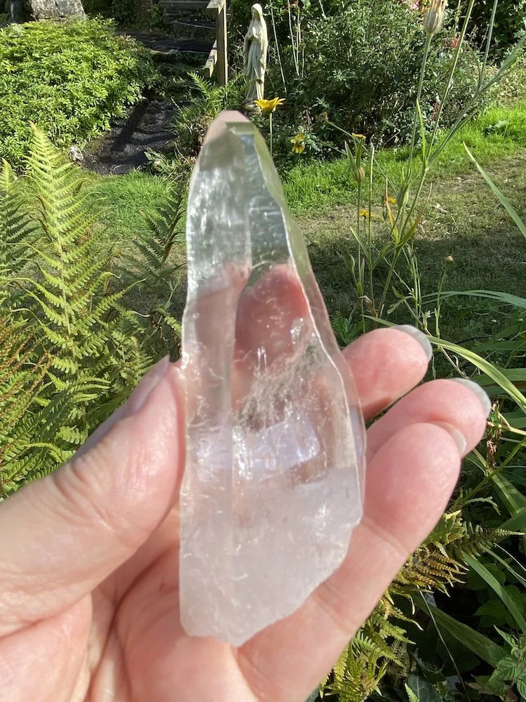 Lemurian L110.JPG